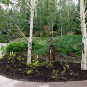 A garden with white birch trees and a stone water fountain.