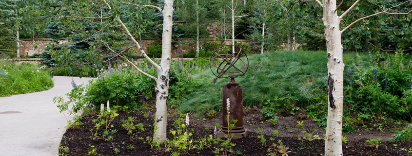 A garden with white birch trees and a stone water fountain.